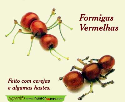 Formigas comestíveis