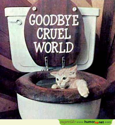 Adeus mundo cruel