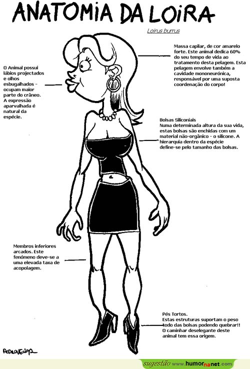 Anatomia da loira