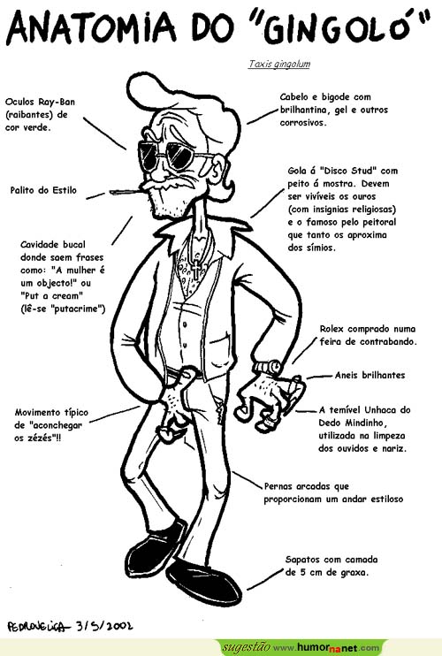 Anatomia do 