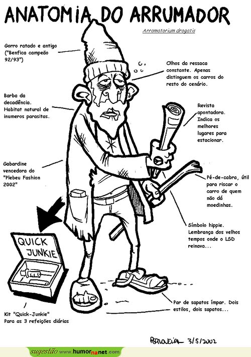 Anatomia do Arrumador