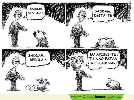 O cachorro Saddam