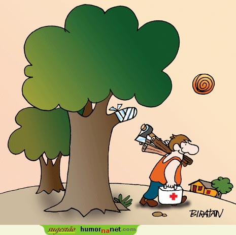 Tratar da saúde às árvores