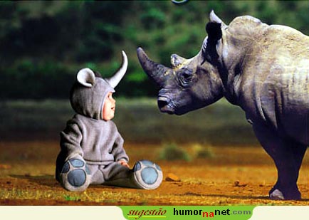 Safari com rinocerontes