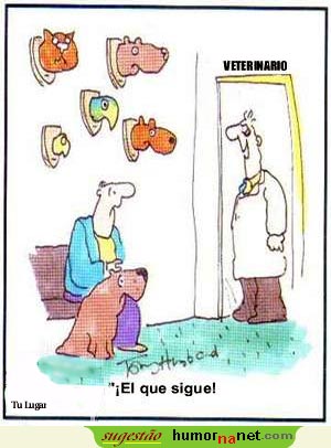 A visita ao veterinário
