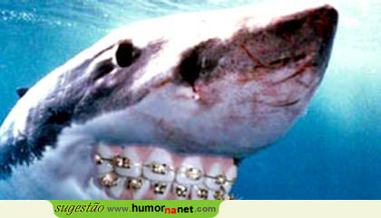 Sorriso de Tubarão