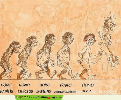 A evolução do Homem até agora