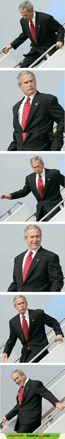 Bush no seu melhor