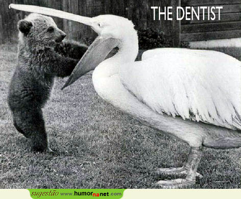 Ela foi ao dentista