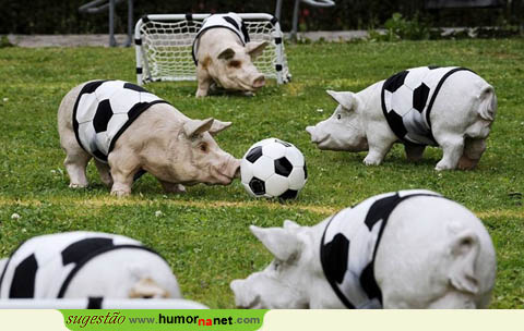Jogo de futebol porco, muito porco!