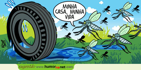 Charcos atrem mosquitos