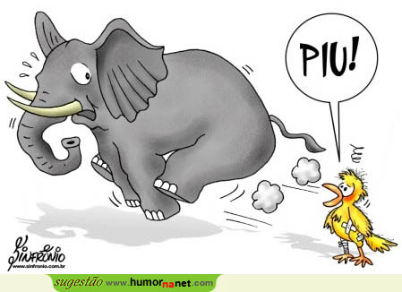 O piu-piu foi suficiente para derrotar o elefante