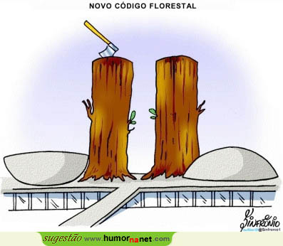 Novo Código Florestal brasileiro