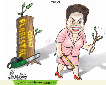 Dilma apenas tirou um galhinho ao código