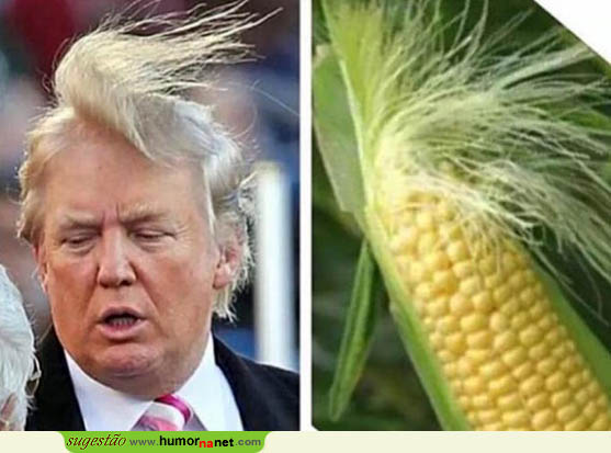 Trump e o seu cabelo