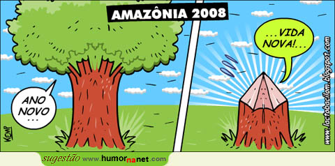 Amazónia 2008