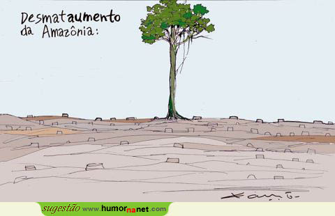 Continua a desflorestação na Amazónia