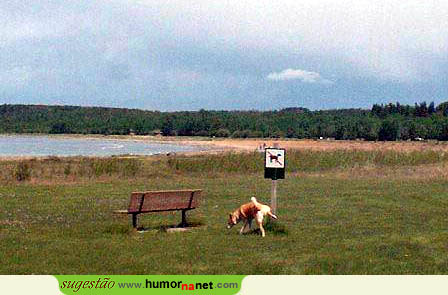 Zona interdita a cães