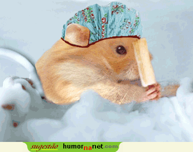 Hamster no banho