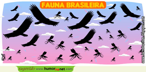 A fauna brasileira