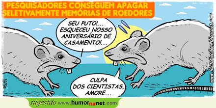 Ciência apaga memória de roedores