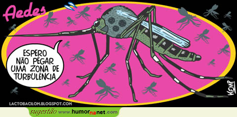 Mosquito com medo de turbulência