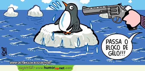 Pinguim é assaltado no seu <i>habitat</i>