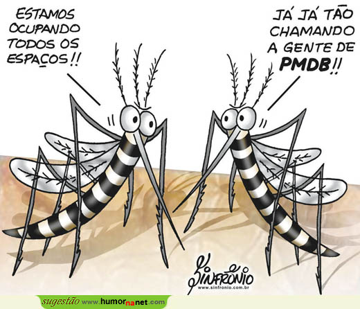 Mosquitos em força no Brasil