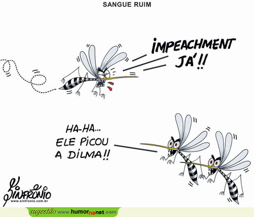 Mosquitos tratam do impeachment a Dilma