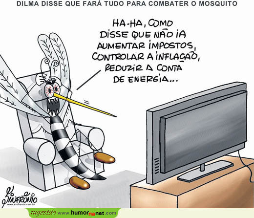 Mosquitos pouco preocupados com a promessa de Dilma