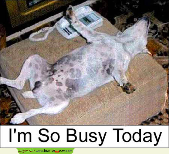 Hoje estou muito ocupado!